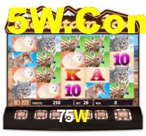 75W